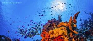 El Paso de Cedral in Cozumel by Ken Kiefer 